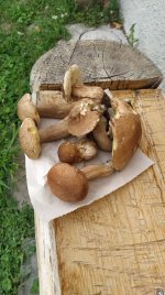 IMG_20250913_201638_898.jpg