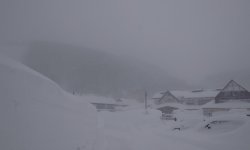 CF00F37C-DB2B-42EE-92DF-3E055775300A.jpeg